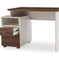 Aarya Office Table